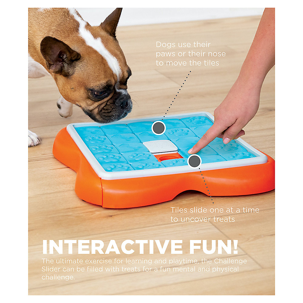 Dog Puzzle Toys