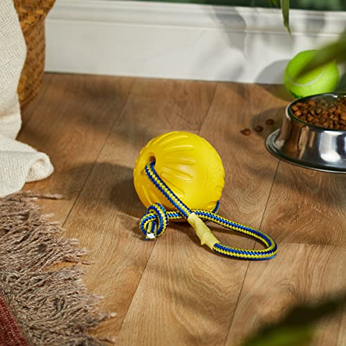 Dog Ball Tug Toy